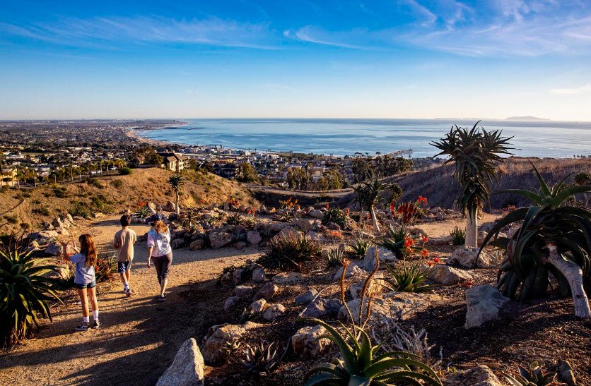Ventura Botanical Gardens, United States